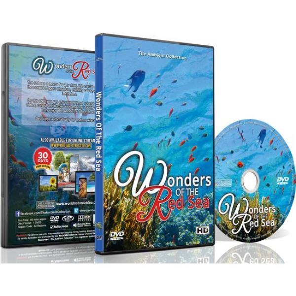 DVD Wunder des Roten Meeres