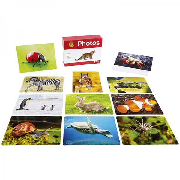 Foto-Box - Tiere