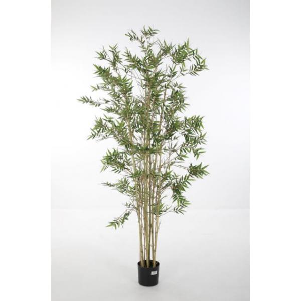 Kunstpflanze Japonica - 180 cm