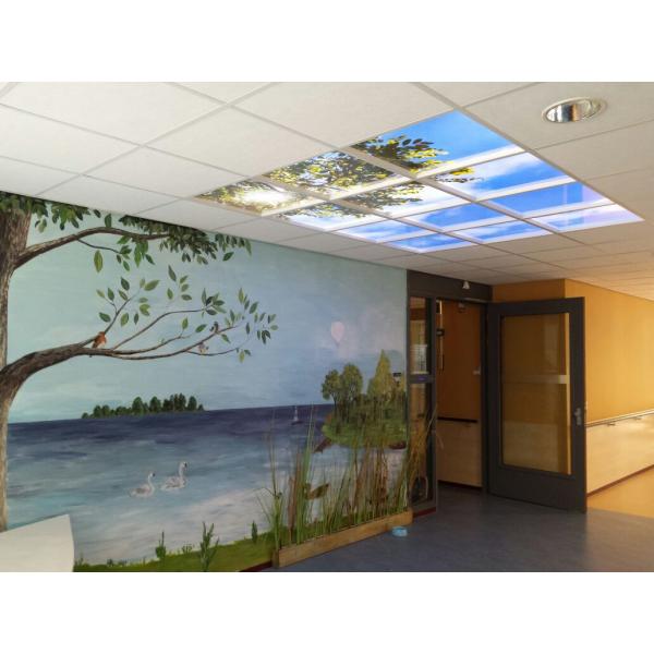 LED Deckenplatten 120 x120 cm