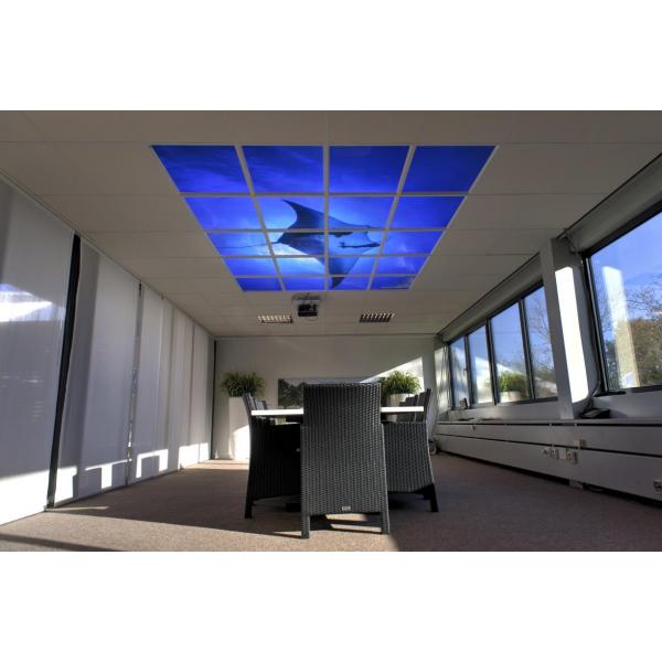 LED Deckenplatten 60 x 60 cm - 4er Set