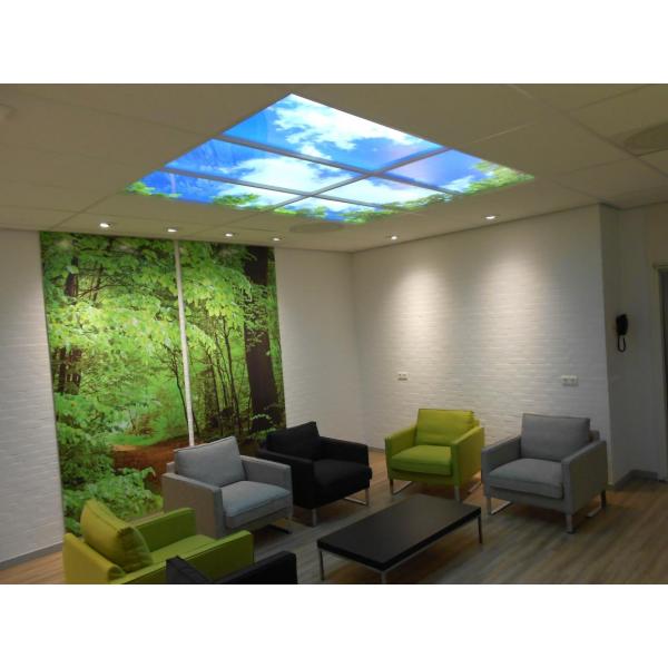 LED Deckenplatten 60x60 cm - 2er Set kaufen? - Nenko