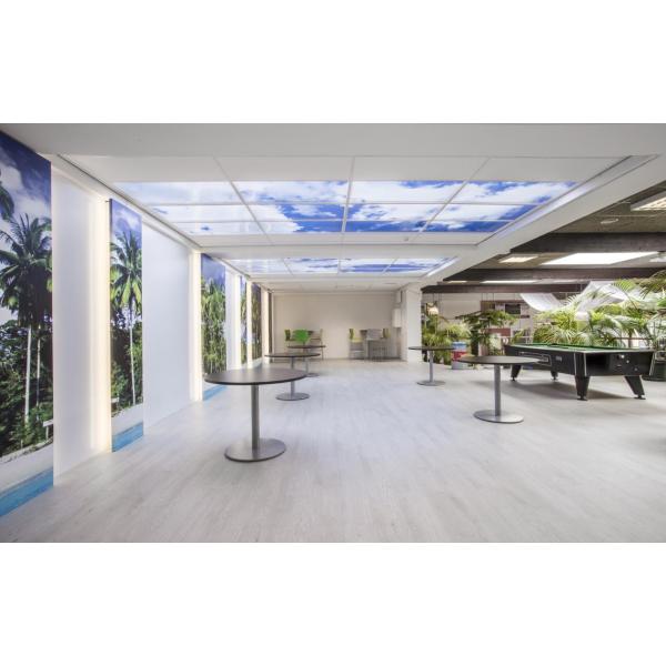 LED Deckenplatten 60x60 cm - 2er Set kaufen? - Nenko