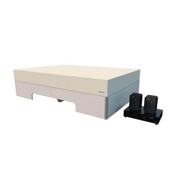 Musikalisches Wasserbett 100 x 200 x 46 cm 0%