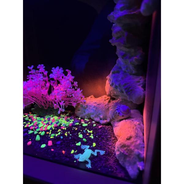 Nenko Schwarzlicht UV Aquarium