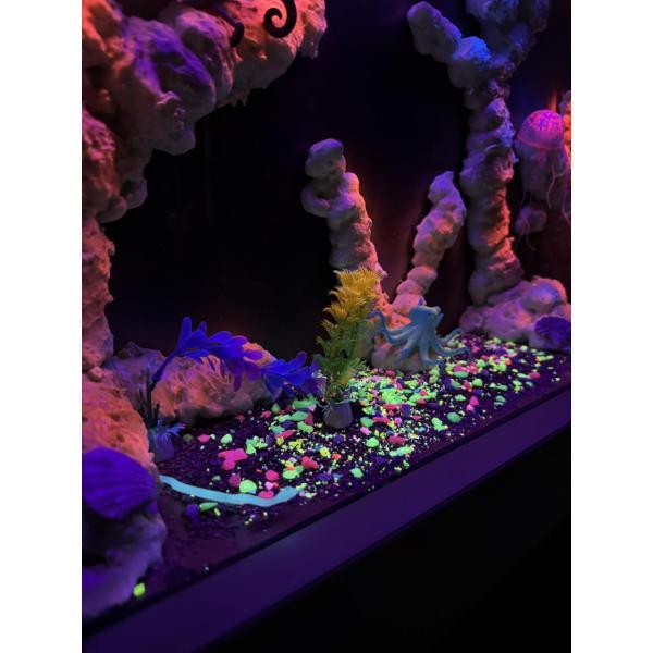 Nenko Schwarzlicht UV Aquarium