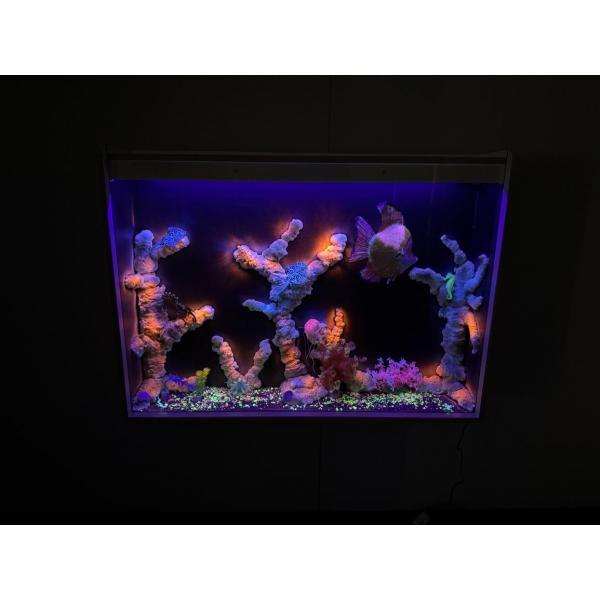 Nenko Schwarzlicht UV Aquarium