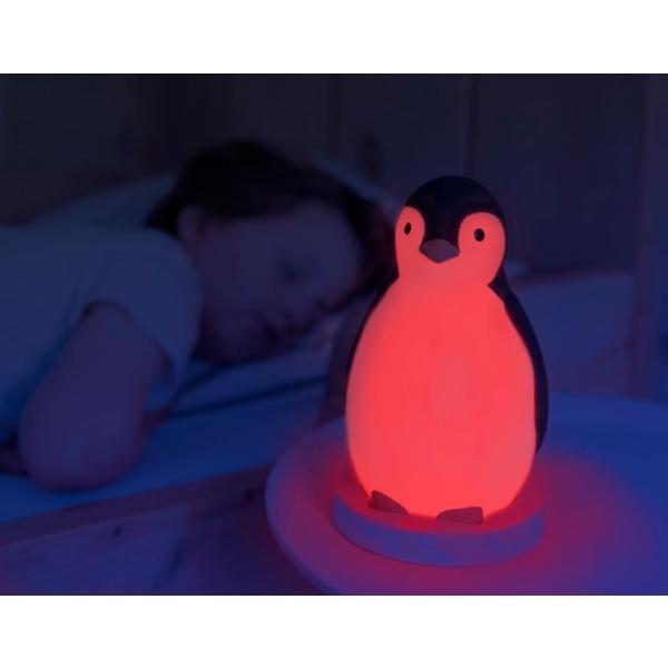Schlaftrainer - Pam der Pinguin