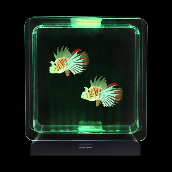 Tropisches Fischaquarium