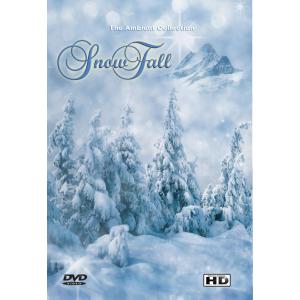 DVD - Schneefall