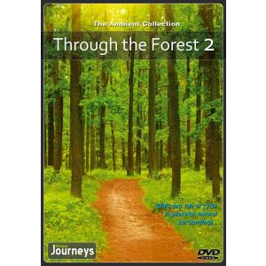 DVD Virtuelle Spaziergänge - Spazieren durch den Wald