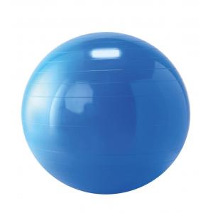 Gymnic - Mehrzweckball  65 cm blau