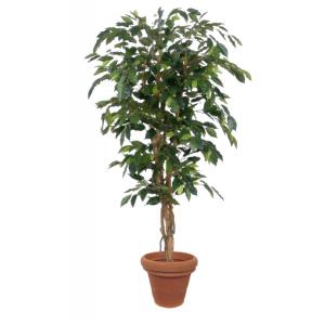 Künstliche Pflanze Ficus grün - 150 cm hoch im Topf