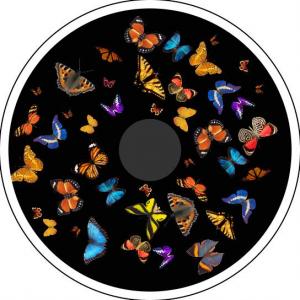 Magnetisch Effektrad - Schmetterling 2