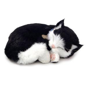 Perfect Petzzz - Kätzchen schwarz-weiß