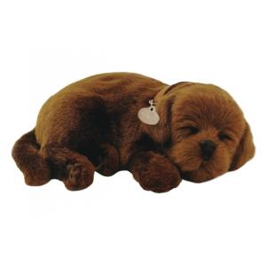 Perfect Petzzz - Hundewelpe Labrador