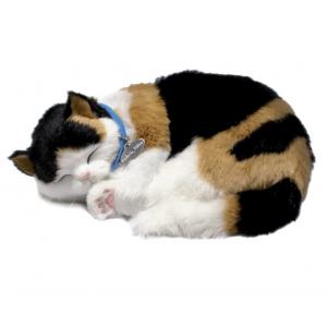 Perfect petzzz - Calico Katze