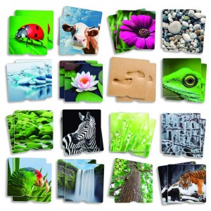Textur Memory - Natur