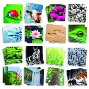 Textur Memory - Natur