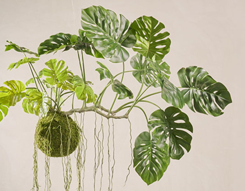 Pflegefreies Grün in der Pflege